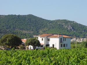 a house in a vineyard with a mountain in the background at Agriturismo Vermentino in Monti