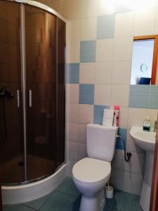 a bathroom with a toilet and a shower and a sink at Zajazd Dolina Sadosiów in Godkowo