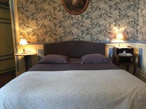 1 dormitorio con 1 cama, 2 lámparas y espejo en Château de Pintray, en Lussault-sur-Loire