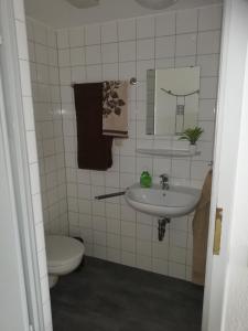 a bathroom with a sink and a toilet at Pension Zur alten Fachschule in Triptis