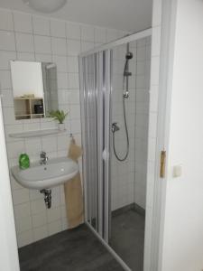 a bathroom with a shower and a sink at Pension Zur alten Fachschule in Triptis