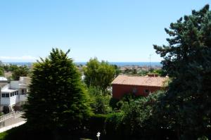 Príroda v okolí vily