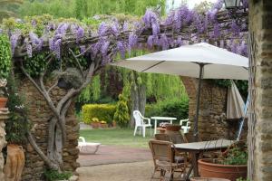 a pergola covered in purple wisteria with a table and umbrella at Mas Vilosa Bed and Breakfast in Corçà