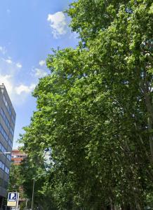 Zdjęcie z galerii obiektu BERNABEU, luxury y luminoso apartamento entero w Madrycie