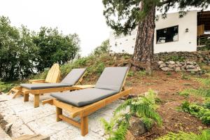 A garden outside El Pino Centenario 8