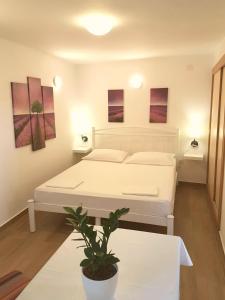 a bedroom with a white bed and a potted plant at Apartments Nina&Anita in Dubrovnik