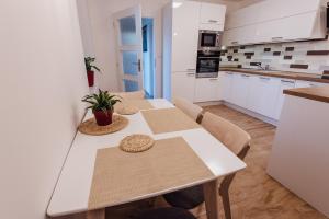 Kuchyňa alebo kuchynka v ubytovaní Apartmán Pod borovicí