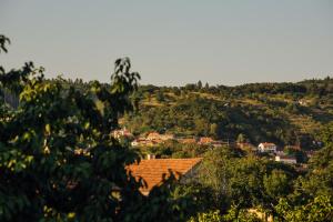 Príroda v okolí apartmánu