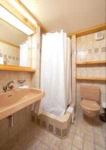 a bathroom with a shower and a toilet and a sink at Arena Guesthouse in Flims