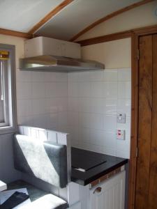 een keuken met een aanrecht en een koelkast bij Waterloo Farm Shepherds Hut Glamping in Perth