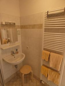 La petite salle de bains est pourvue d'un lavabo et d'une douche. dans l'établissement Pension Ufert, à Meissen