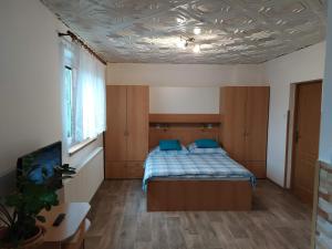 Un dormitorio con una cama con almohadas azules. en Apartmány Okoun en Velké Losiny
