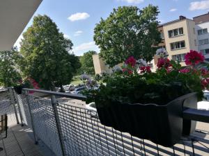 un pot de fleurs sur une balustrade sur un balcon dans l'établissement Centro apartamentai, à Birštonas