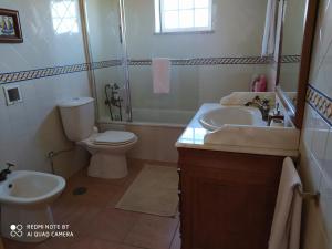 een badkamer met een toilet, een wastafel en een toilet bij Quinta de Penelas in Lamego