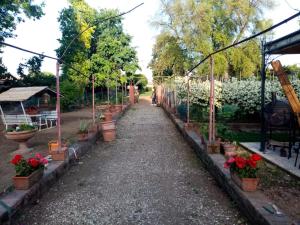 un giardino con piante in vaso su una strada sterrata di Alle vecchie mura a Pistoia