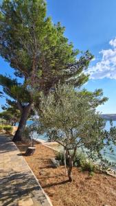 Fotografie z fotogalerie ubytování M&S apartments v destinaci Stara Novalja + 88 fotografií