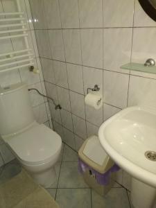 Kúpeľňa v ubytovaní Zajazd U Doktora