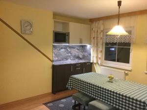 Kuchyň nebo kuchyňský kout v ubytování Apartman U Hanicky