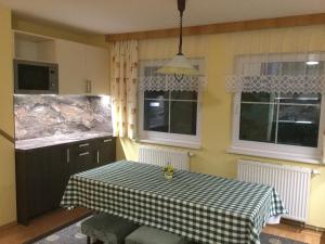Kuchyň nebo kuchyňský kout v ubytování Apartman U Hanicky