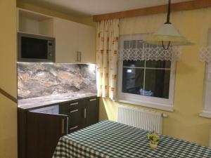 Kuchyň nebo kuchyňský kout v ubytování Apartman U Hanicky