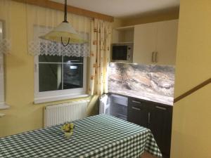Kuchyň nebo kuchyňský kout v ubytování Apartman U Hanicky