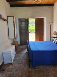 Suite in vigneto في Passopisciaro: غرفة نوم بسرير ازرق ومرآة