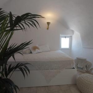 a bedroom with a bed and a potted plant at Caterina's Suites & Apartament in Ostuni