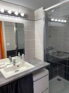 La salle de bains est pourvue d'un lavabo et d'une douche. dans l'établissement Les gites du buisson, à Fréhel