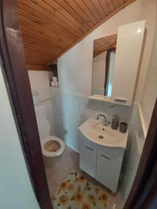 Ένα μπάνιο στο Milica Holiday home