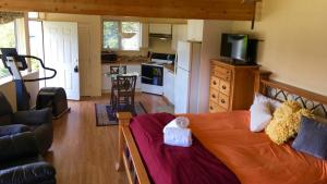 朱諾的住宿－Kelli Creek Cottage - REDUCED PRICE ON TOURS，一间卧室,床上有泰迪熊