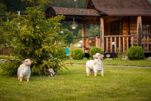 Imagen de la galería de Pannochka, en Verkhovyna