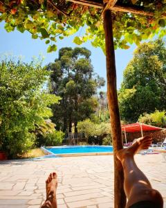 Gallery image of Quinta Algarve das Relvinhas in Monchique +45 photos