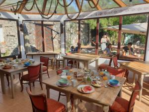 Gallery image of Quinta Algarve das Relvinhas in Monchique