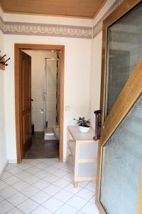 ein Bad mit einer ebenerdigen Dusche und einem WC in der Unterkunft Ferienwohnungen Louisenblick in Bamberg