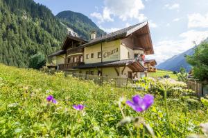 a building on a hill with flowers in the foreground at Apart&Chalet Chiara in Neustift im Stubaital