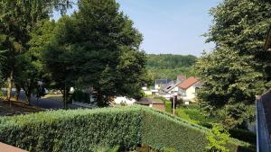 een klimop bedekt heg in een woonwijk bij Rentrisch am Waldrand in Sankt Ingbert