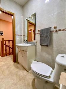 a bathroom with a toilet and a sink and a mirror at APARTAMENTO TURISTICO NAVALINDA in Casas del Monte
