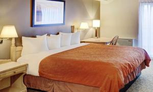 Łóżko lub łóżka w pokoju w obiekcie Thompson's Best Value Inn & Suites