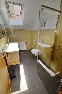 a bathroom with a shower and a sink and a toilet at Pretti Apartments - NEUES modern eingerichtetes Apartment - mitten im Stadtzentrum in Bamberg