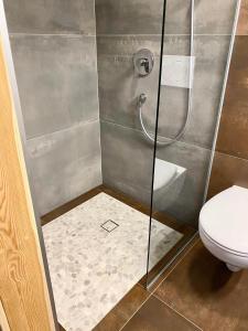 a bathroom with a shower with a toilet at BeeWood apartment in Križe +29 photos