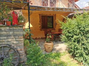 Giardino di Vikendica kraj Dunava Oaza