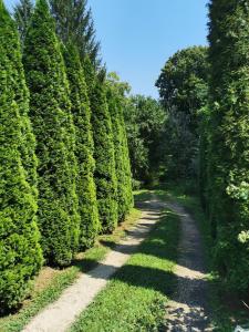 Giardino di Vikendica kraj Dunava Oaza