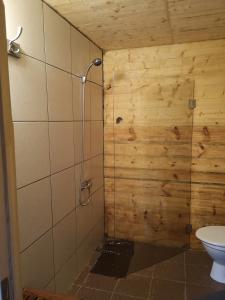 a bathroom with a shower and a toilet at Brīvdienu māja "Raudiņi" in Kaltene