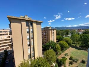 una vista aerea di un edificio in una città di Da Debby a Pisa