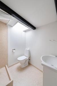 ein Bad mit einem WC und einem Waschbecken in der Unterkunft aday - Apartment suite 4 Aalborg Center in Aalborg