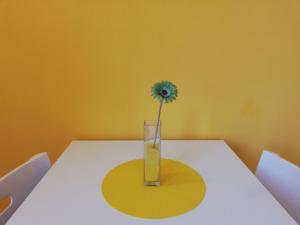 Fotografie z fotogalerie ubytování The Yellow House v destinaci Fiumicino