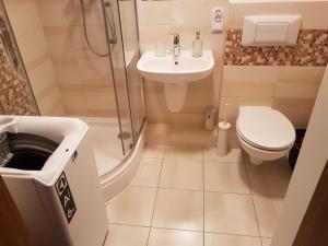 Kúpeľňa v ubytovaní Apartament na Wąskiej