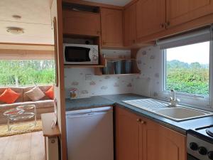 eine kleine Küche mit einer Spüle und einer Mikrowelle in der Unterkunft Ruth's Rest in Shrewsbury