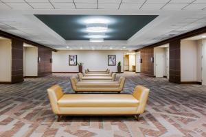 a row of couches in a waiting room at Holiday Inn La Mirada Buena Park by IHG in La Mirada