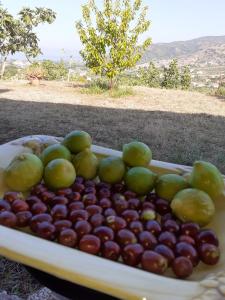 サンタ・マリア・ディ・カステッラバーテにあるBellavistaのテーブルの上に置いたサクランボなどの果物